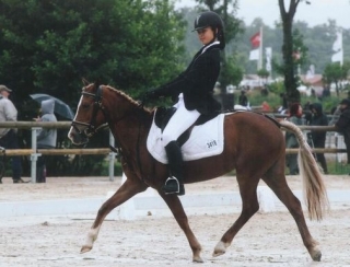  Equitación y competencias en Oise 